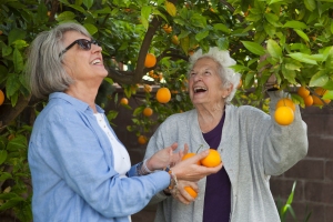 Marion and Lois with backyard orange tree